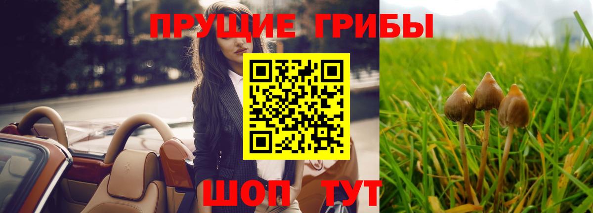 Псилоцибиновые грибы мицелий Джанкой